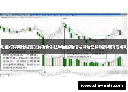 加维对阵莱比锡表现解析折射法甲回暖新信号背后趋势观察与前景研判